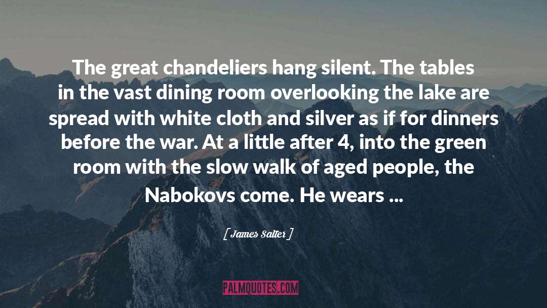 James Salter Quotes: The great chandeliers hang silent.