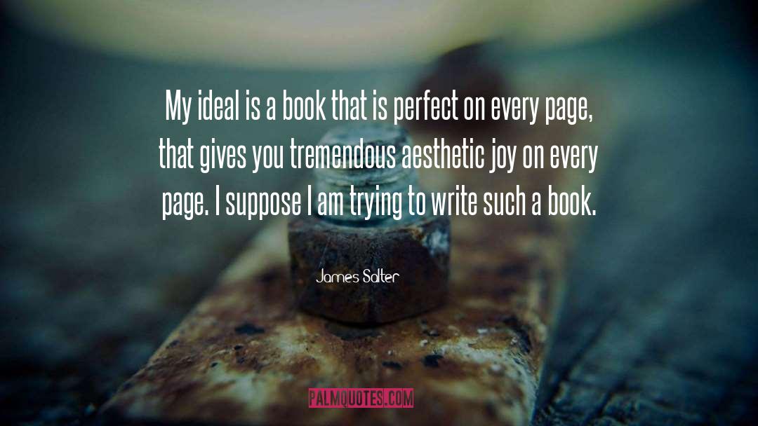 James Salter Quotes: My ideal is a book