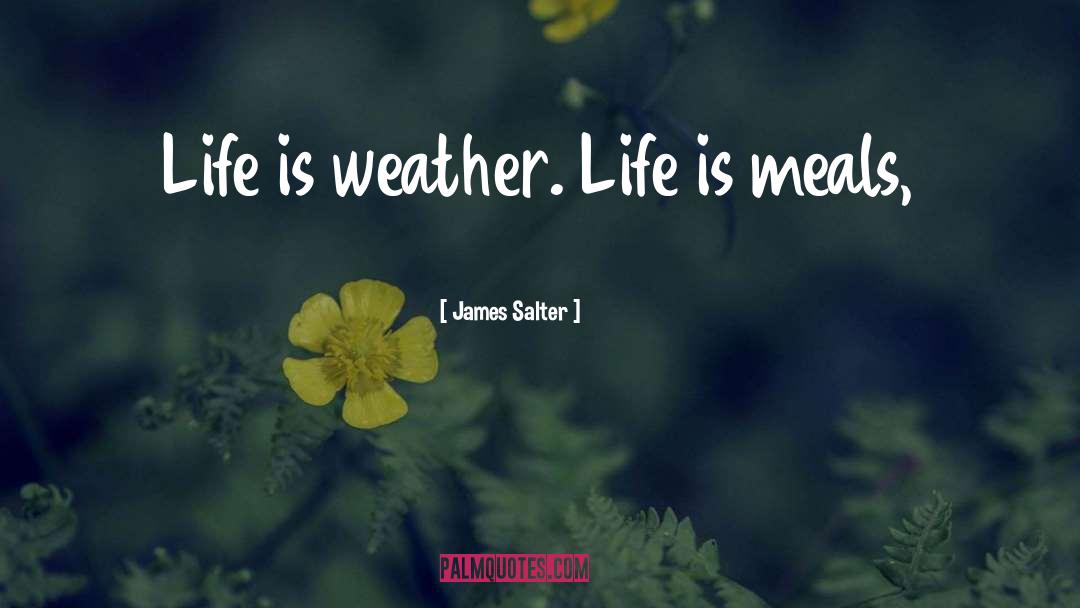 James Salter Quotes: Life is weather. Life is
