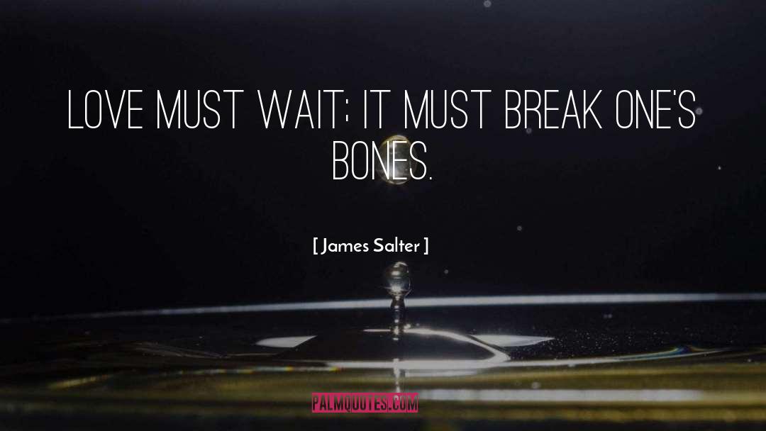 James Salter Quotes: Love must wait; it must