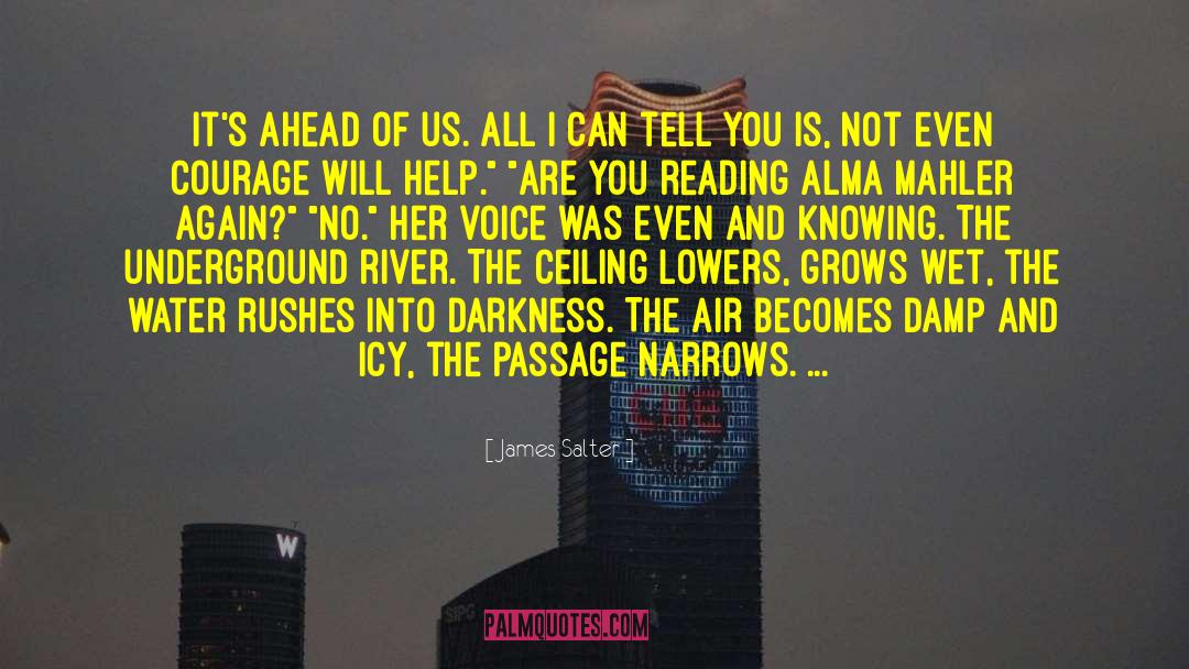 James Salter Quotes: It's ahead of us. All