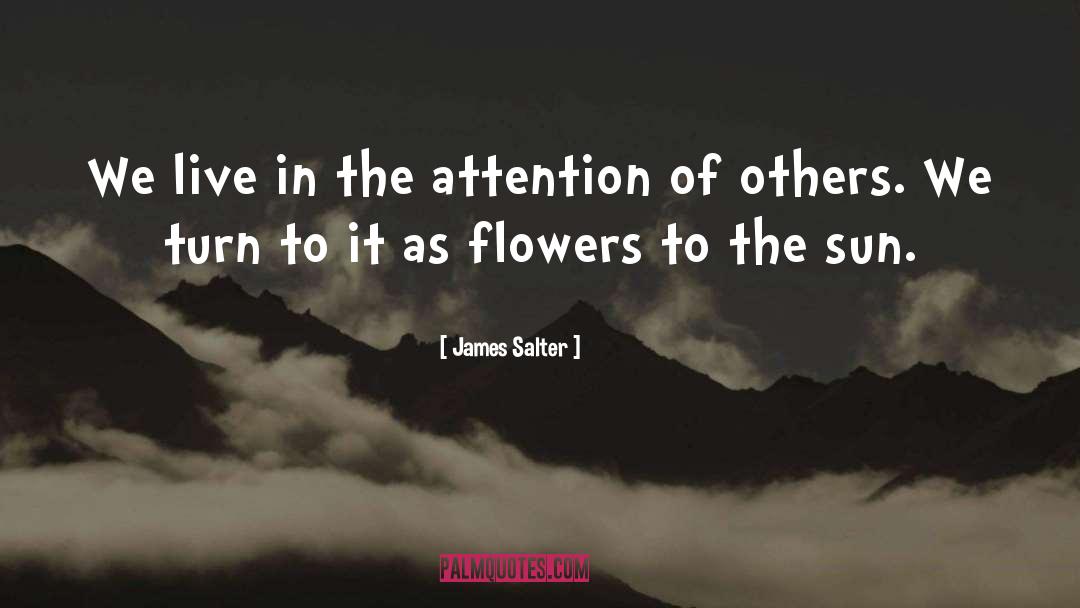 James Salter Quotes: We live in the attention