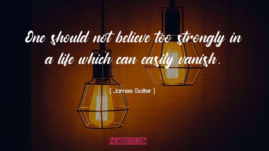 James Salter Quotes: One should not believe too