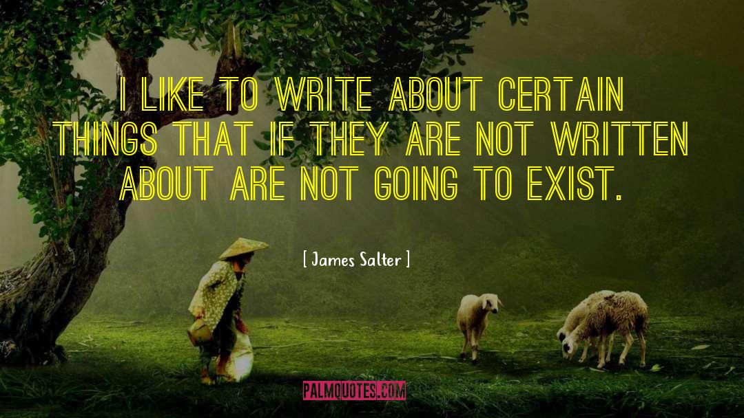 James Salter Quotes: I like to write about