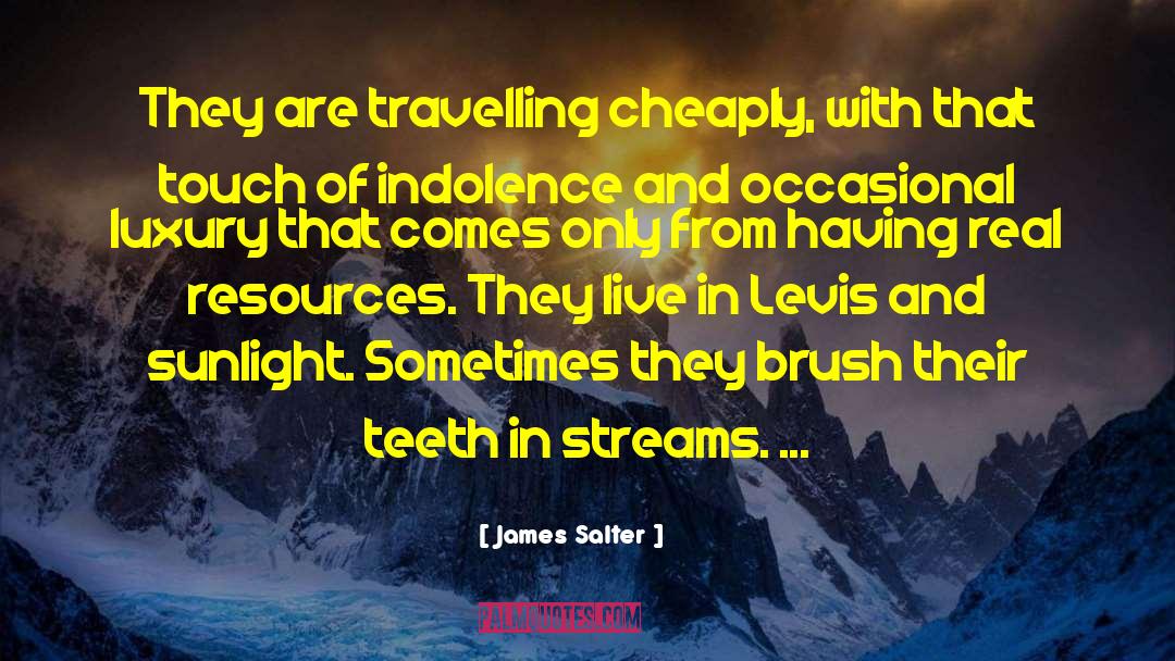 James Salter Quotes: They are travelling cheaply, with