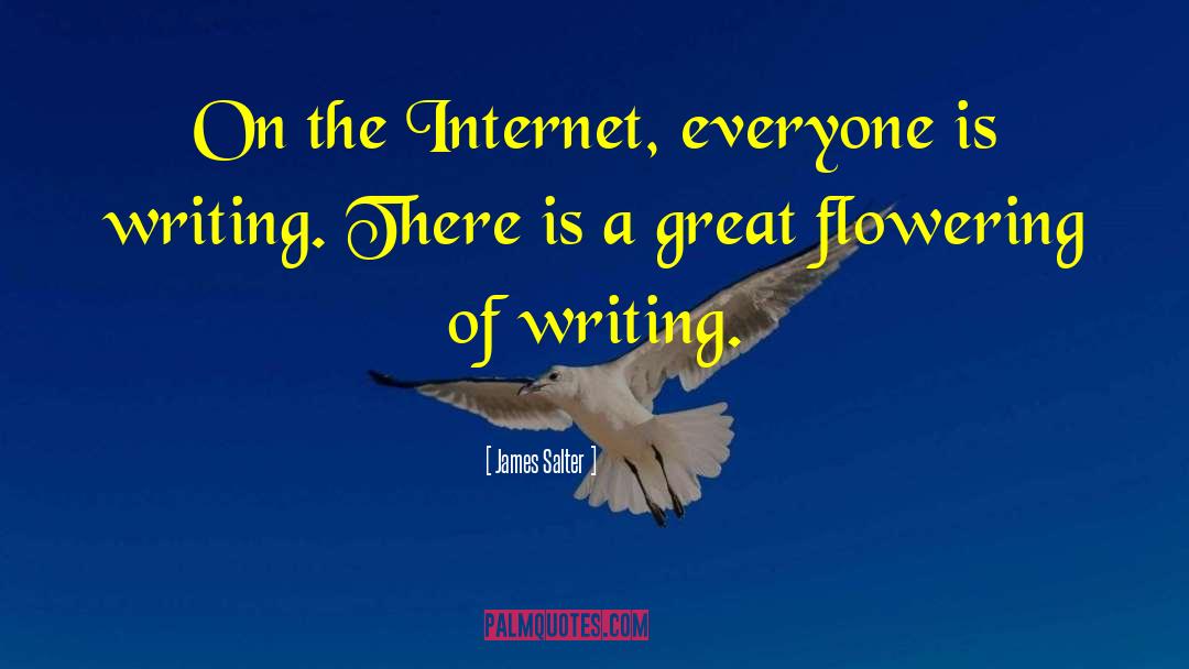 James Salter Quotes: On the Internet, everyone is