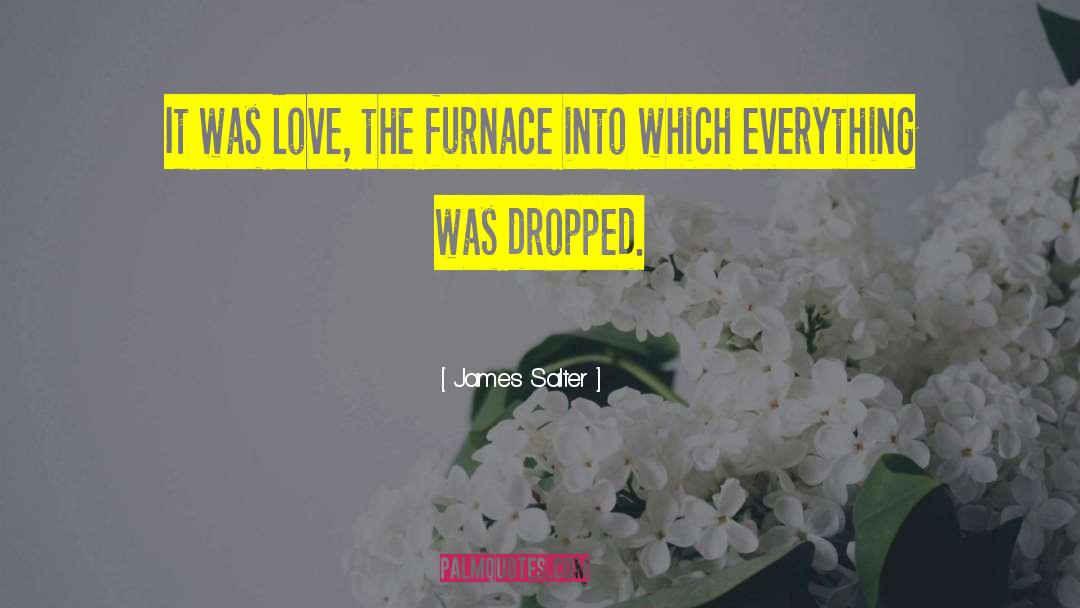 James Salter Quotes: It was love, the furnace