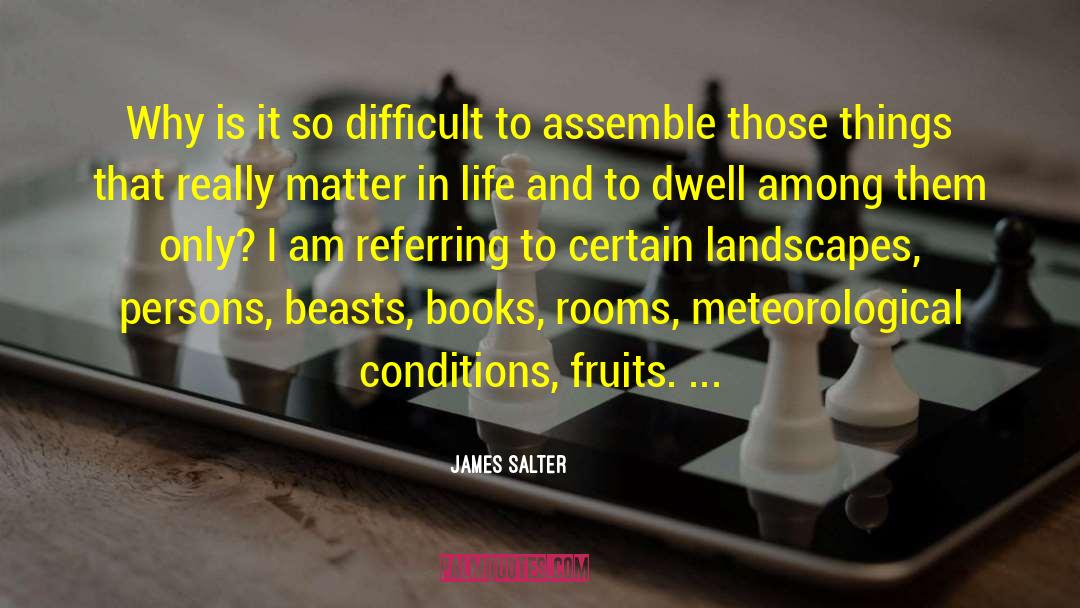 James Salter Quotes: Why is it so difficult