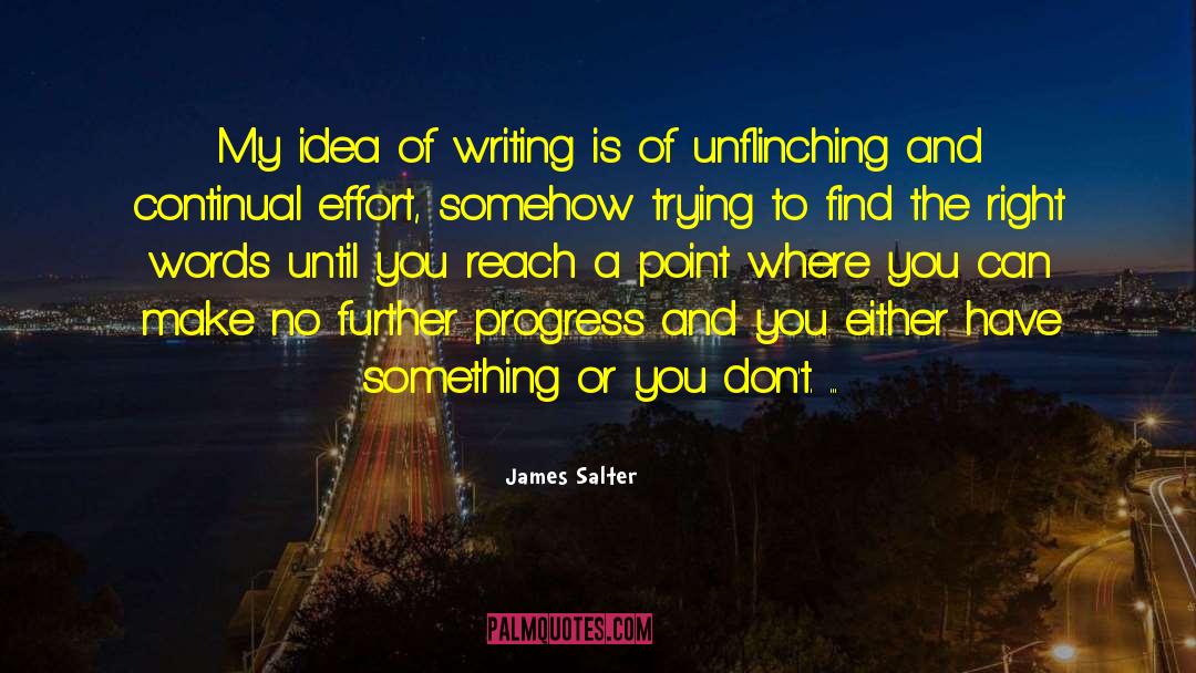 James Salter Quotes: My idea of writing is