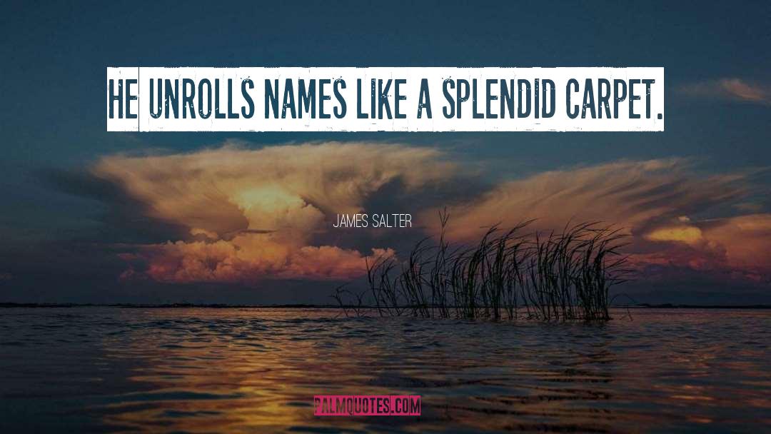 James Salter Quotes: He unrolls names like a