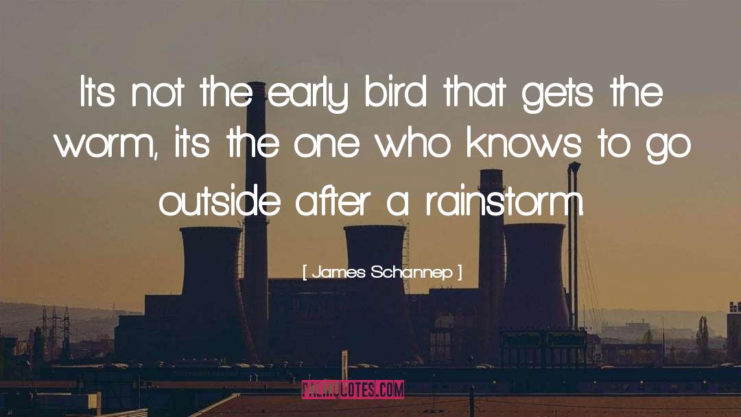 James Schannep Quotes: It's not the early bird