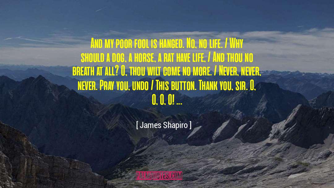 James Shapiro Quotes: And my poor fool is
