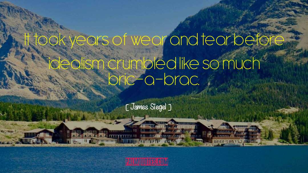 James Siegel Quotes: It took years of wear