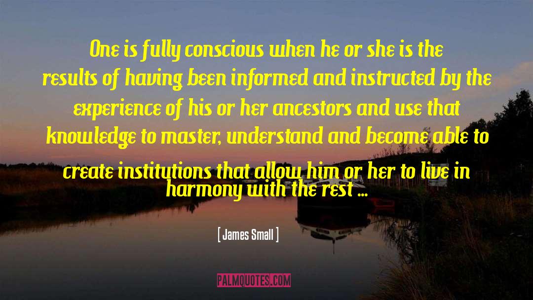 James Small Quotes: One is fully conscious when