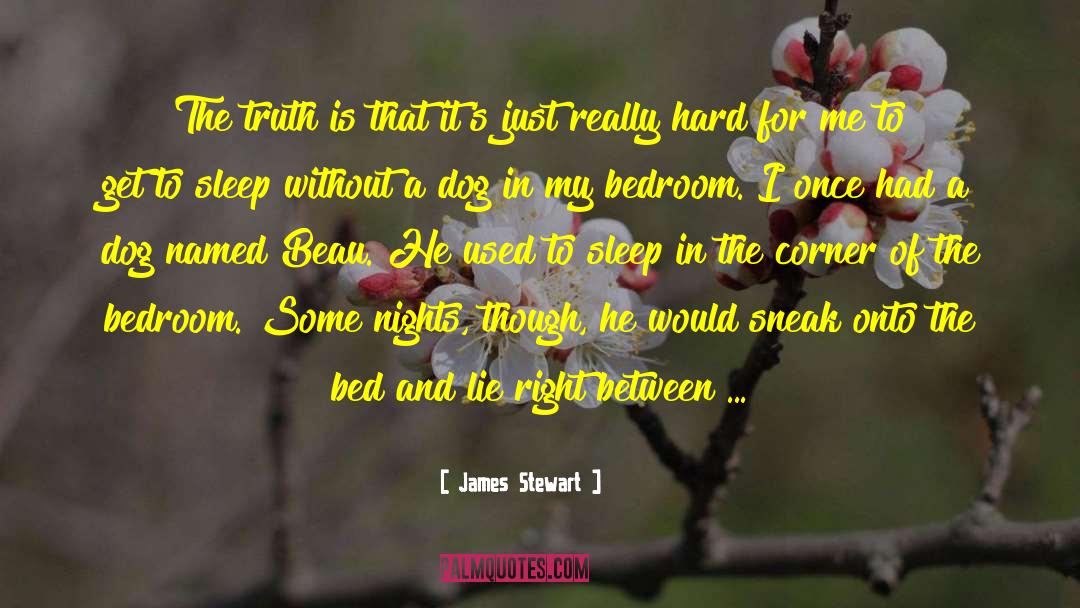 James Stewart Quotes: The truth is that it's
