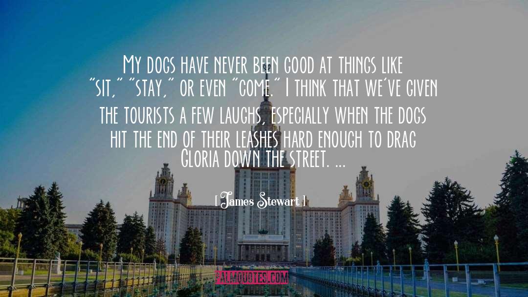 James Stewart Quotes: My dogs have never been