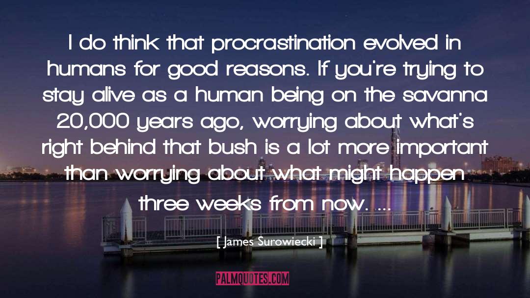 James Surowiecki Quotes: I do think that procrastination