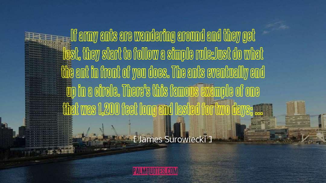 James Surowiecki Quotes: If army ants are wandering