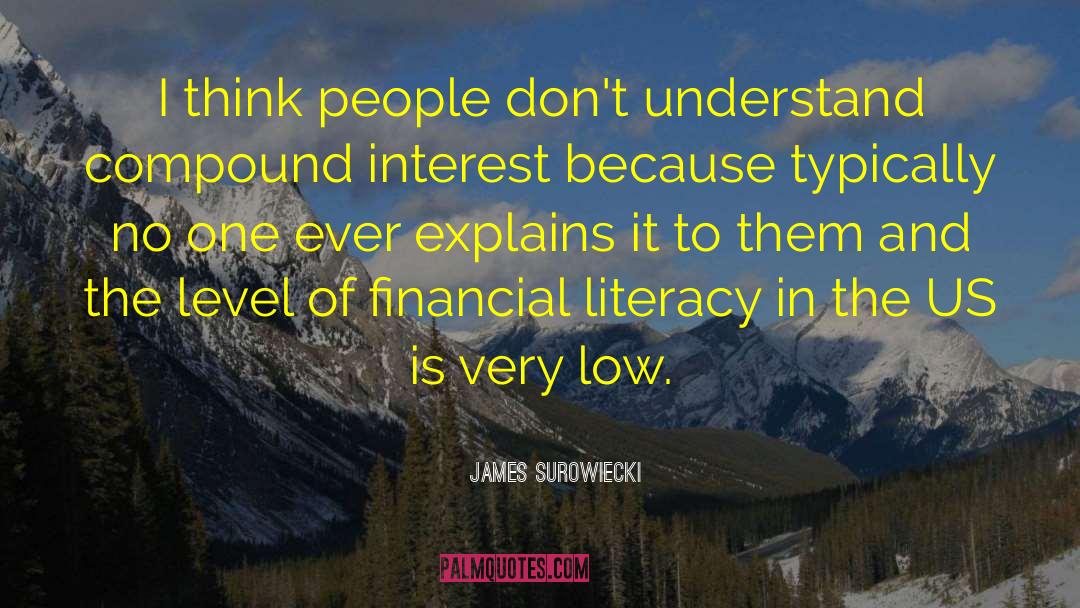 James Surowiecki Quotes: I think people don't understand