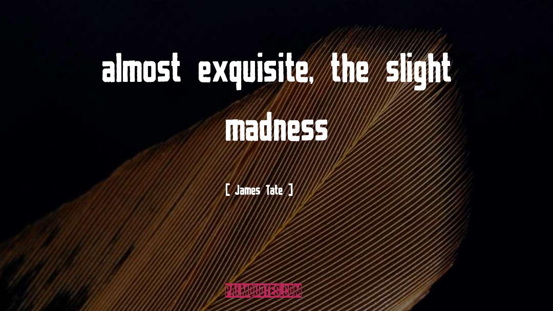 James Tate Quotes: almost exquisite, the slight madness