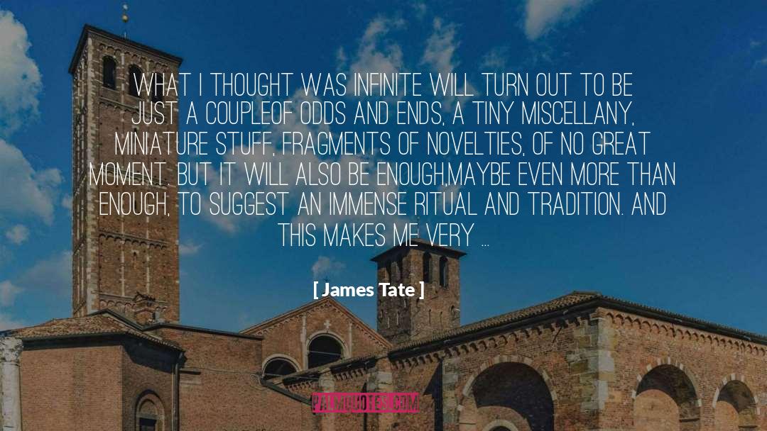 James Tate Quotes: What I thought was infinite