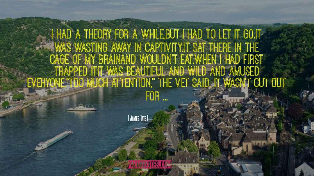 James Tate Quotes: I had a theory for