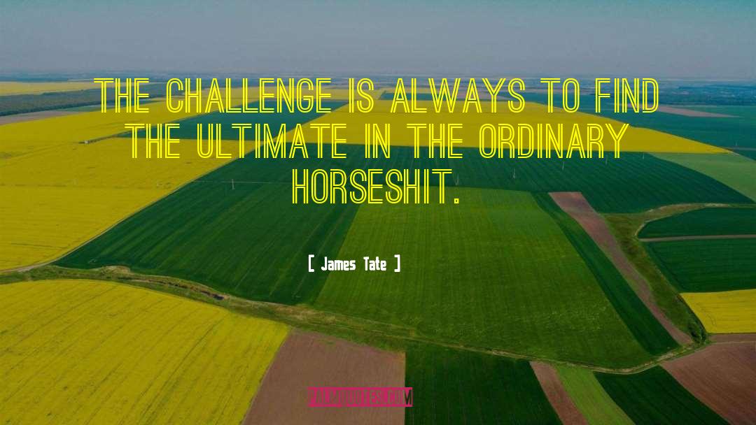 James Tate Quotes: The challenge is always to