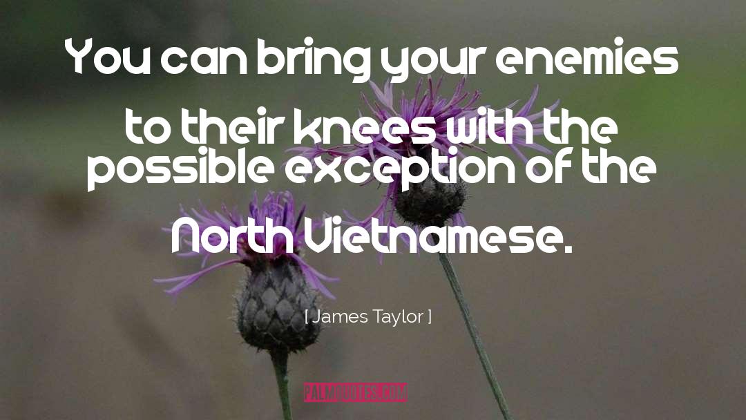 James Taylor Quotes: You can bring your enemies