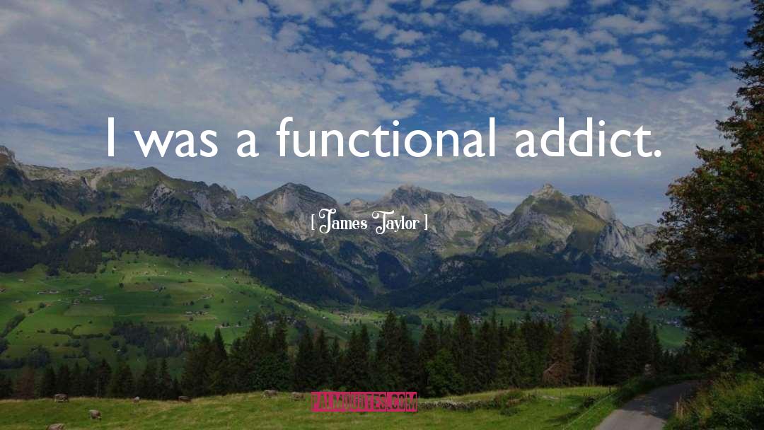 James Taylor Quotes: I was a functional addict.