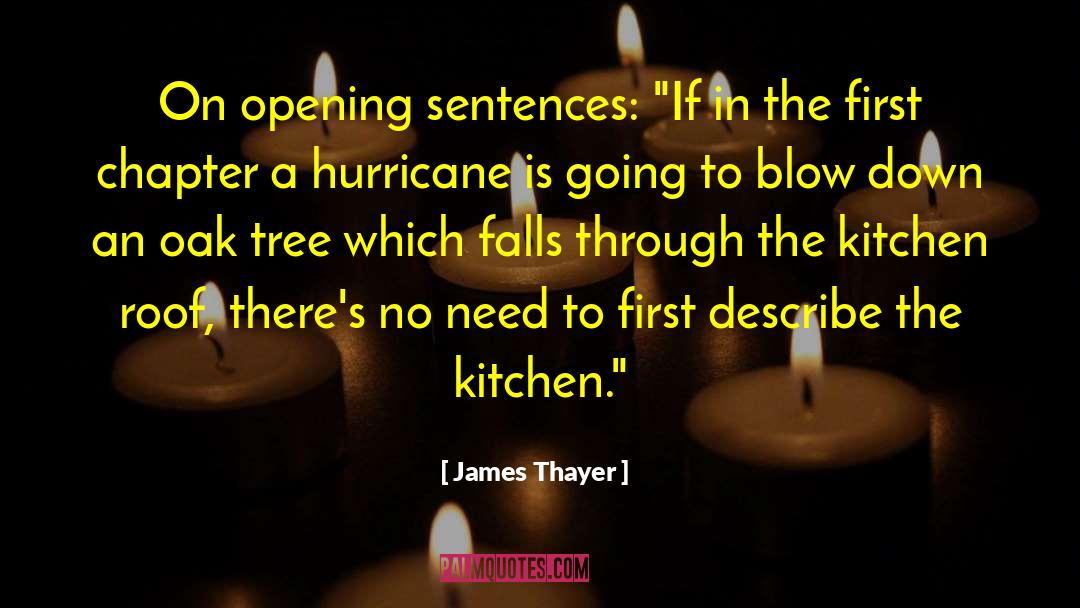 James Thayer Quotes: On opening sentences: 