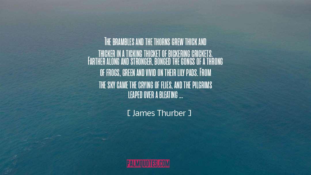 James Thurber Quotes: The brambles and the thorns