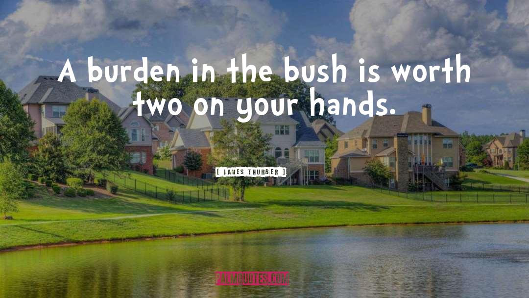 James Thurber Quotes: A burden in the bush