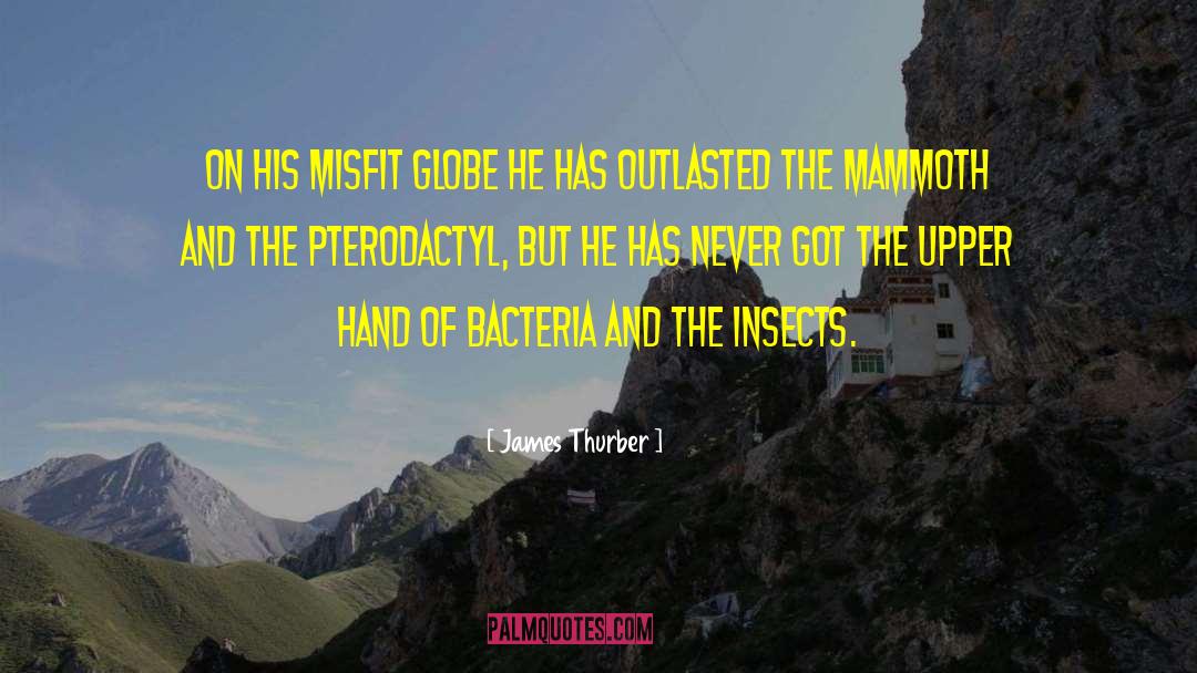 James Thurber Quotes: On his misfit globe he