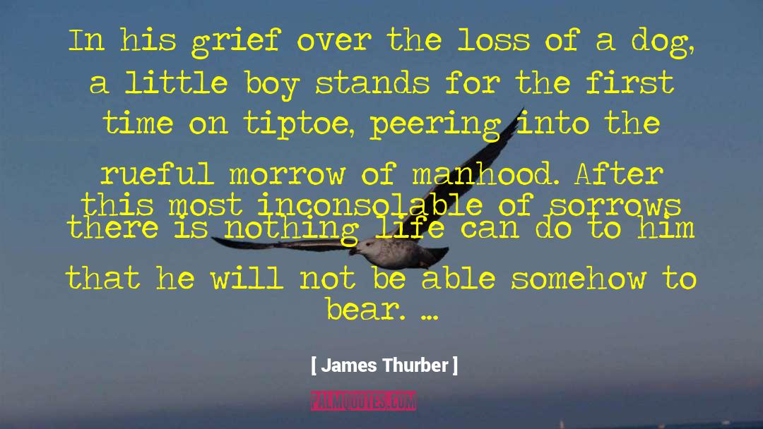 James Thurber Quotes: In his grief over the