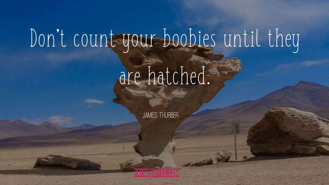 James Thurber Quotes: Don't count your boobies until