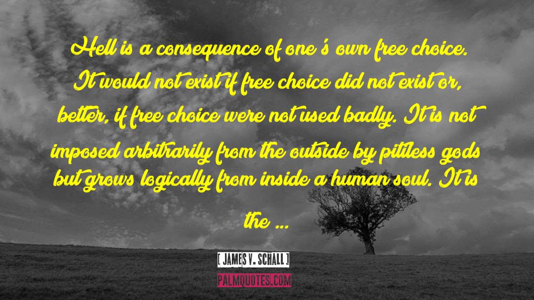 James V. Schall Quotes: Hell is a consequence of