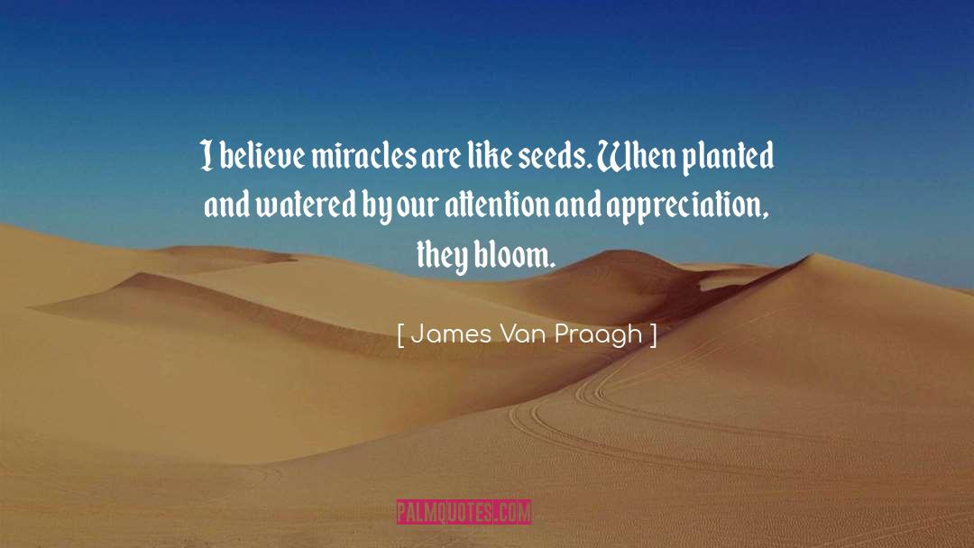 James Van Praagh Quotes: I believe miracles are like