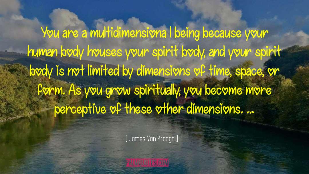 James Van Praagh Quotes: You are a multidimensiona l