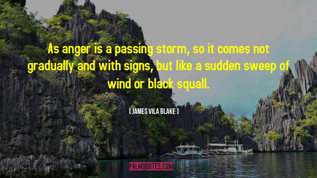 James Vila Blake Quotes: As anger is a passing