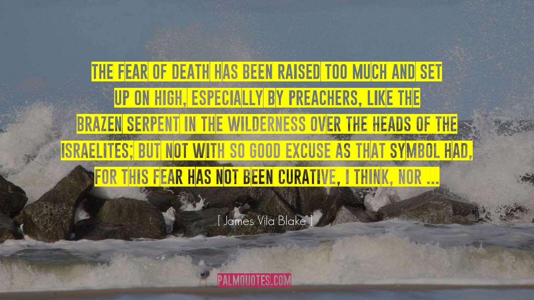 James Vila Blake Quotes: The fear of death has