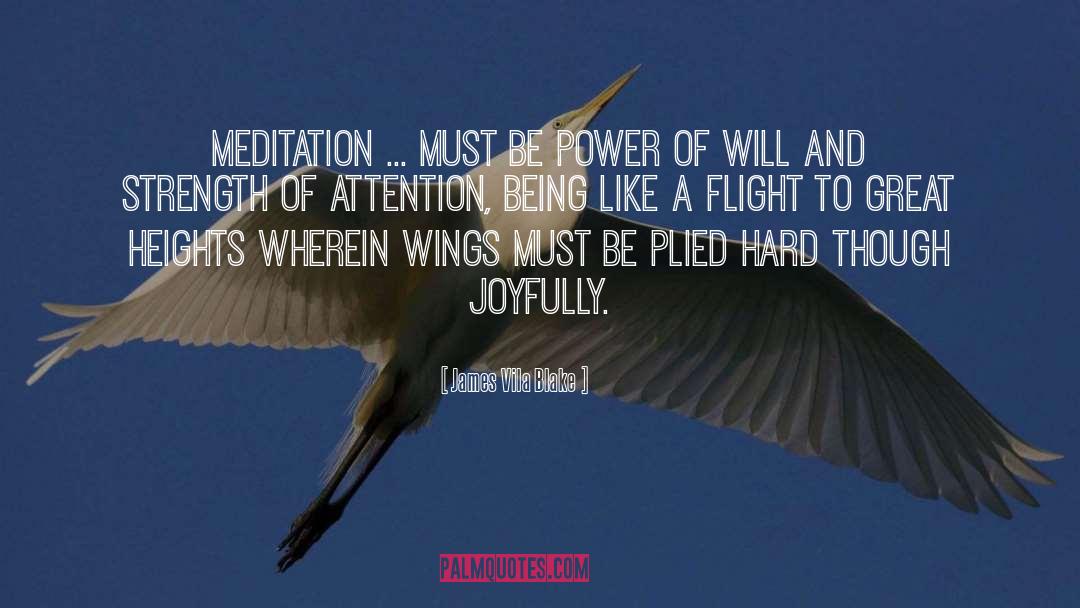 James Vila Blake Quotes: Meditation ... must be power