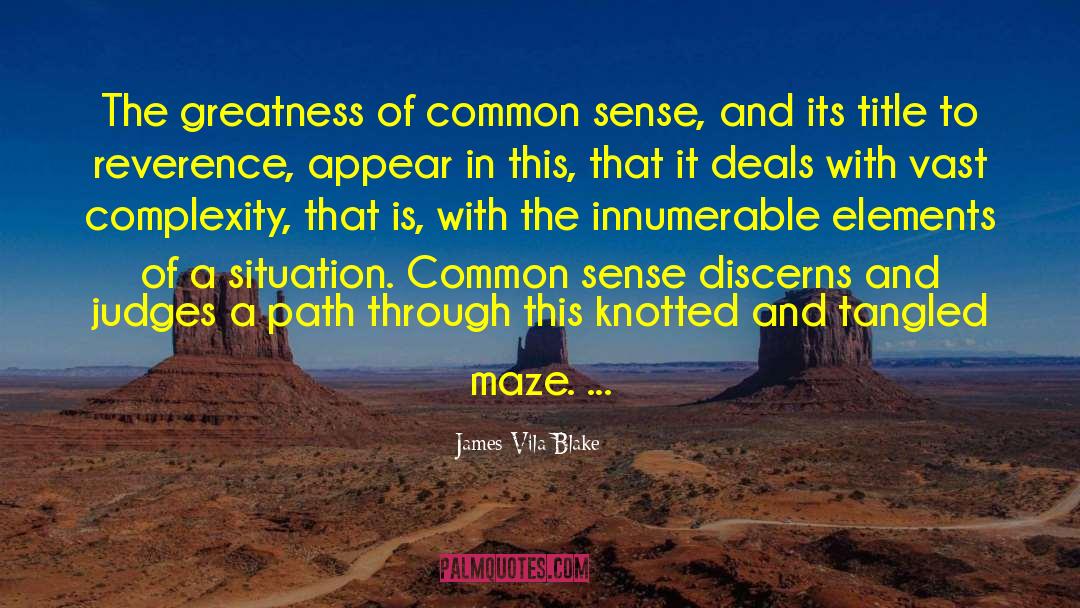 James Vila Blake Quotes: The greatness of common sense,