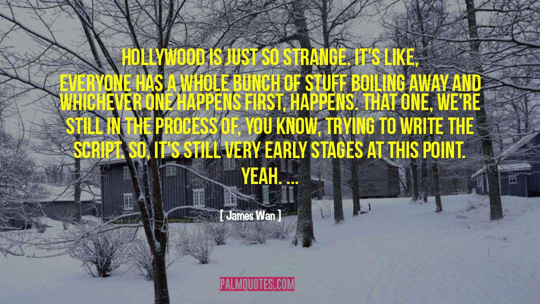 James Wan Quotes: Hollywood is just so strange.