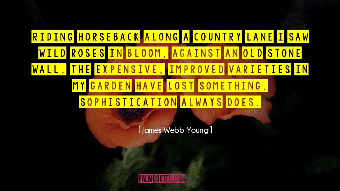James Webb Young Quotes: Riding horseback along a country