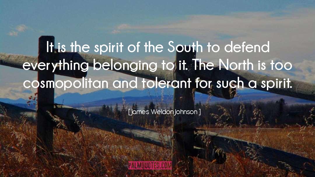 James Weldon Johnson Quotes: It is the spirit of