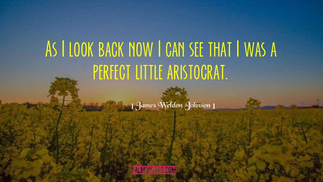 James Weldon Johnson Quotes: As I look back now
