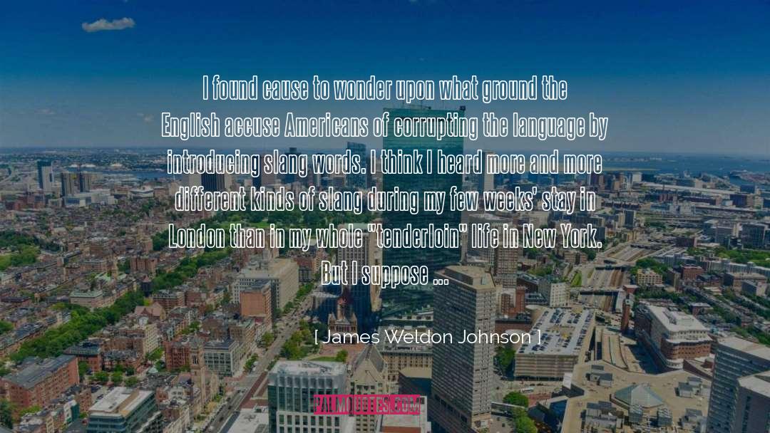 James Weldon Johnson Quotes: I found cause to wonder