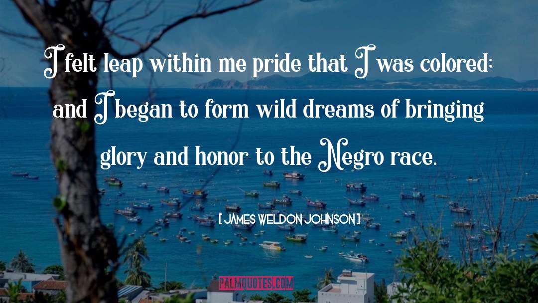 James Weldon Johnson Quotes: I felt leap within me