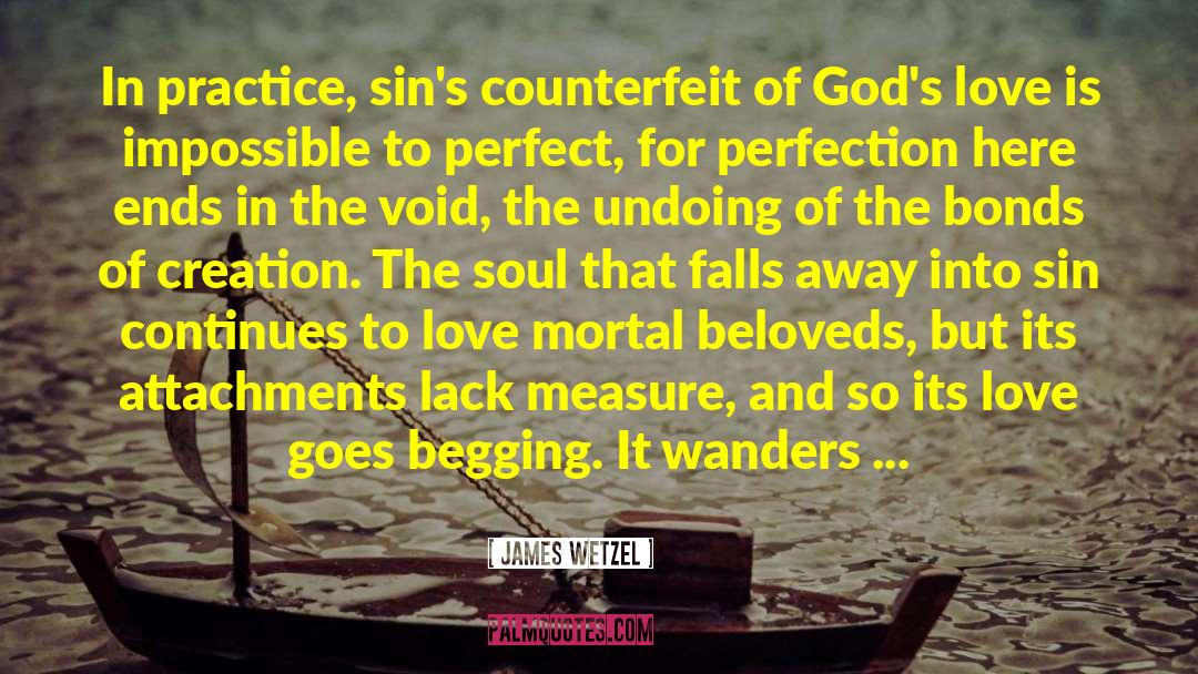 James Wetzel Quotes: In practice, sin's counterfeit of