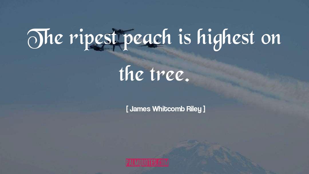 James Whitcomb Riley Quotes: The ripest peach is highest